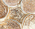 11-mini-uhani-bronasti-detail