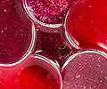 11-mini-uhani-rdeci-detail