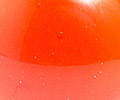 12-uhani-pikice-oranzni-detail
