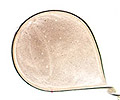 01-uhani-cvet-beli-detail