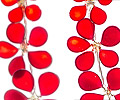 02-uhani-tri-rozice-rdeci-detail