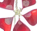 03-uhani-vetrnice-rdeci-detail