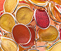05-uhani-mali-planeti-vecbarvni-detail